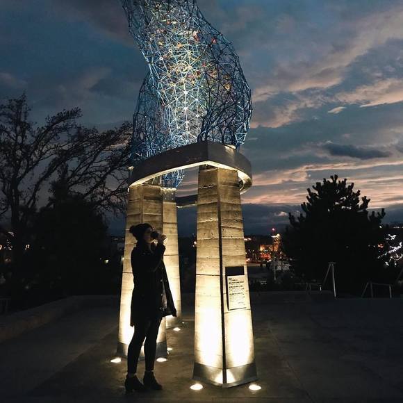 Meet your Posher, Sarah - Picture 1 of 1